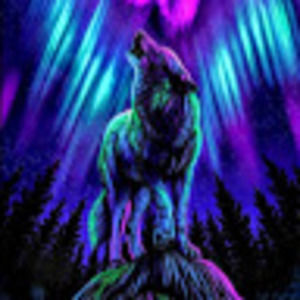 Meet your Posher, Annalea